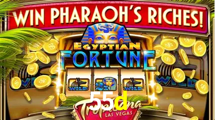 Descubra a Magia dos Jogos de Arcade no 55d